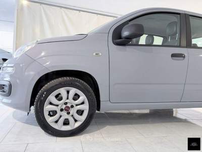 Fiat Panda  0.9 TwinAir Turbo S&S Lounge Grigio usata San Giuseppe Vesuviano