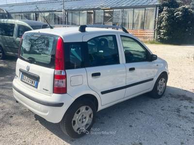 Fiat Panda Emotion Bianco usata Terlizzi