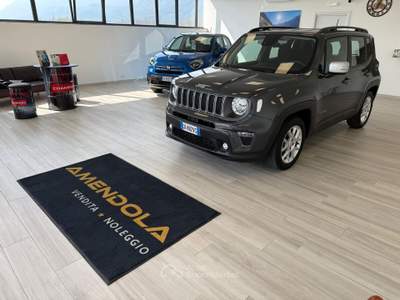 Jeep Renegade Limited Grigio usata Ausonia