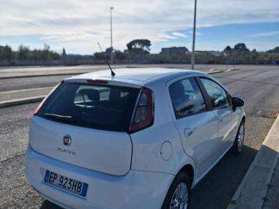 Fiat Punto 5 porte Easypower Easy - 2013 Bianco usata Barletta