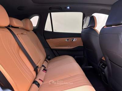 Geely Starray 1.5 Plug in Launch Edition DHT Verde usata Varese