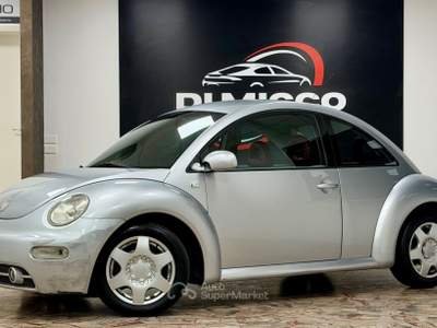 Volkswagen New Beetle  Argento usata Rimini