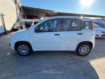 Fiat Panda 1.2 Easy s Bianco usata Anzio