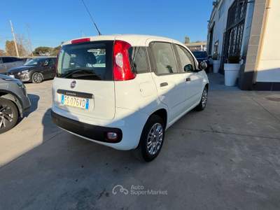 Fiat Panda 1.2 Easy s Bianco usata Anzio