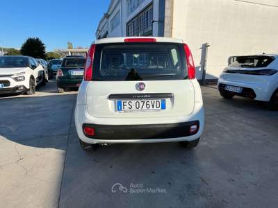 Fiat Panda 1.2 Easy s Bianco usata Anzio
