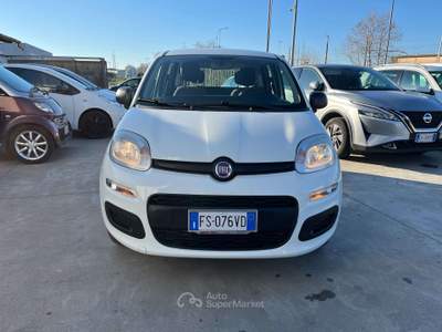 Fiat Panda 1.2 Easy s Bianco usata Anzio