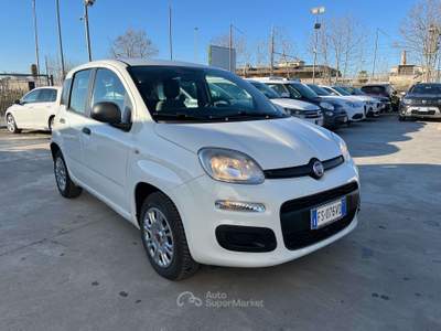Fiat Panda 1.2 Easy s Bianco usata Anzio