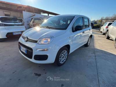 Fiat Panda 1.2 Easy s Bianco usata Anzio