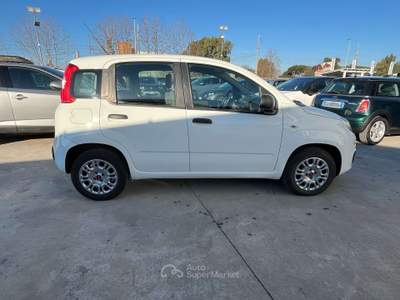 Fiat Panda 1.2 Easy s Bianco usata Anzio