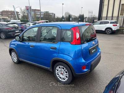 Fiat Panda *PROMO* 1.0 FireFly S&amp;S Hybrid Blu/Azzurro usata Borgo San Lorenzo