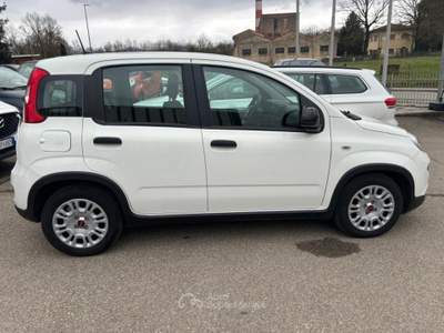 Fiat Panda *PROMO*1.0 firefly hybrid s&amp;s 70cv 5p.ti Bianco usata Borgo San Lorenzo