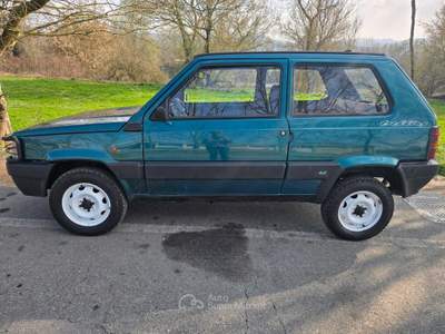 Fiat Panda Trekking Verde usata Castiglione Torinese