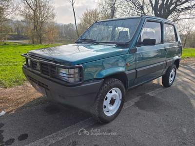 Fiat Panda Trekking Verde usata Castiglione Torinese