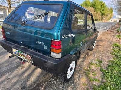 Fiat Panda Trekking Verde usata Castiglione Torinese