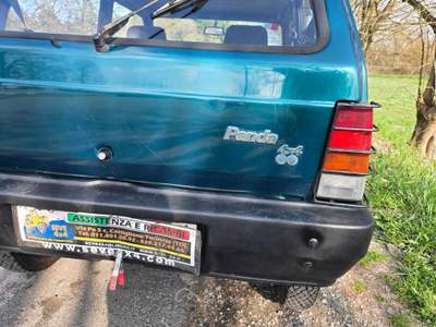 Fiat Panda Trekking Verde usata Castiglione Torinese