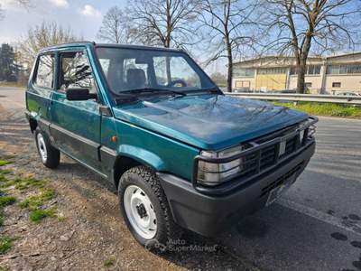 Fiat Panda Trekking Verde usata Castiglione Torinese