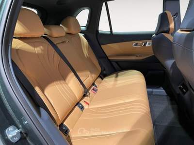 Geely Starray 1.5 phev Launch Edition - SUPERHYBRID Verde usata Ravenna