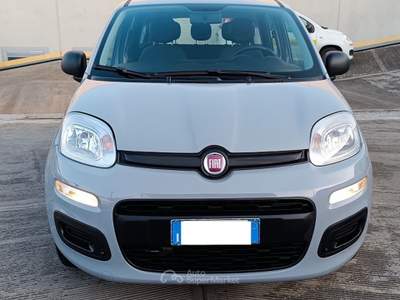 Fiat Panda Panda Grigio usata Modugno
