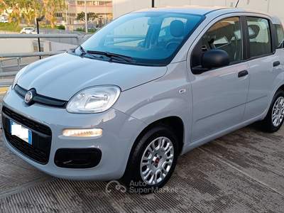 Fiat Panda Panda Grigio usata Modugno