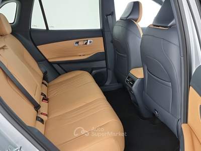Geely Starray 1.5 EM-i Max Launch Edition Grigio usata Reggio nell'Emilia