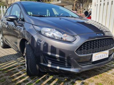 Ford Fiesta Ford Fiesta 1.5 TDCi Business #9886 Grigio usata Samarate