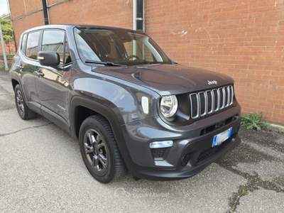 Jeep Renegade Longitude Grigio usata CASELETTE