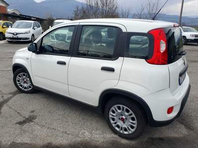 Fiat Panda VETTURA PARI AL NUOVO Bianco usata Cumiana