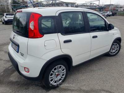 Fiat Panda VETTURA PARI AL NUOVO Bianco usata Cumiana