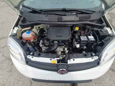 Fiat Panda VETTURA PARI AL NUOVO Bianco usata Cumiana