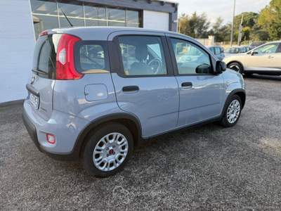 Fiat Panda Panda 1.0 FireFly S&S Hybrid Grigio usata Mesagne