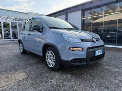 Fiat Panda Panda 1.0 FireFly S&S Hybrid Grigio usata Mesagne
