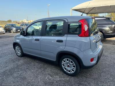 Fiat Panda Panda 1.0 FireFly S&S Hybrid Grigio usata Mesagne