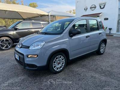 Fiat Panda Panda 1.0 FireFly S&S Hybrid Grigio usata Mesagne