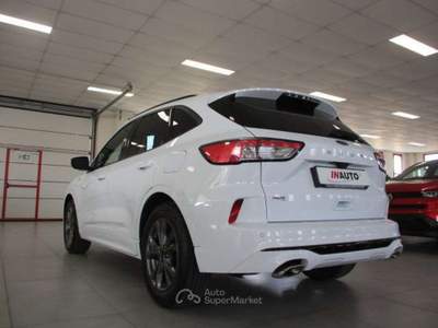 Ford Kuga Kuga 1.5 ecoblue ST-Line 2wd 120cv auto Bianco usata Fossano