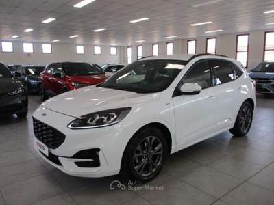 Ford Kuga Kuga 1.5 ecoblue ST-Line 2wd 120cv auto Bianco usata Fossano