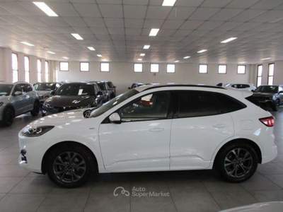 Ford Kuga Kuga 1.5 ecoblue ST-Line 2wd 120cv auto Bianco usata Fossano