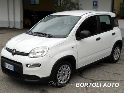 Fiat Panda 1.0 HYBRID 15.000 KM FIREFLY  Bianco usata Mirandola