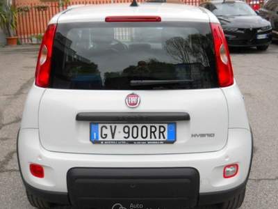 Fiat Panda 1.0 HYBRID 15.000 KM FIREFLY  Bianco usata Mirandola