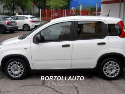 Fiat Panda 1.0 HYBRID 15.000 KM FIREFLY  Bianco usata Mirandola