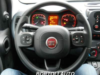 Fiat Panda 1.0 HYBRID 15.000 KM FIREFLY  Bianco usata Mirandola