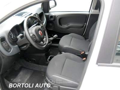 Fiat Panda 1.0 HYBRID 15.000 KM FIREFLY  Bianco usata Mirandola