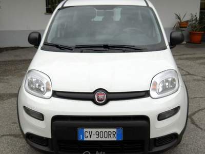 Fiat Panda 1.0 HYBRID 15.000 KM FIREFLY  Bianco usata Mirandola