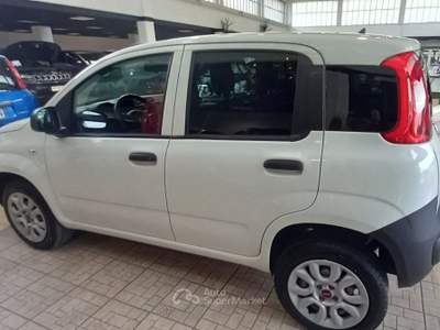 Fiat Panda 0.9 TwinAir Turbo Natural Power Pop Van 2 posti Bianco usata Torino