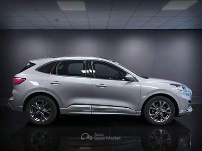Ford Kuga 2.0 EcoBlue 120 CV aut. 2WD ST-Line Argento usata Arsiè