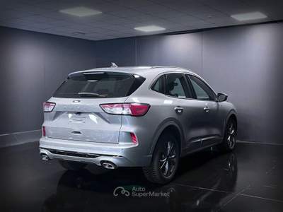 Ford Kuga 2.0 EcoBlue 120 CV aut. 2WD ST-Line Argento usata Arsiè