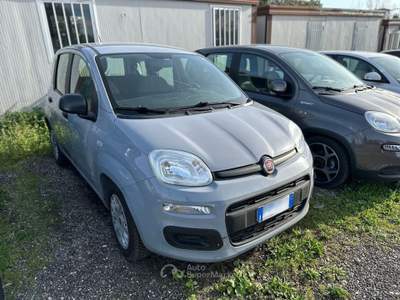 Fiat Panda  - panda 1.0 firefly hybrid s&s 70cv Grigio usata Roma
