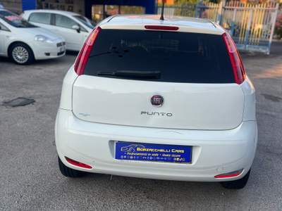 Fiat Punto Evo Autocarro Bianco usata Giugliano in Campania