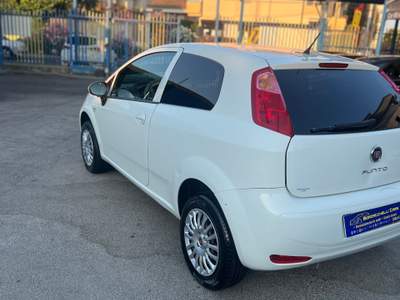 Fiat Punto Evo Autocarro Bianco usata Giugliano in Campania
