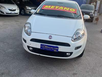 Fiat Punto Evo Autocarro Bianco usata Giugliano in Campania