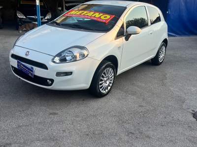Fiat Punto Evo Autocarro Bianco usata Giugliano in Campania
